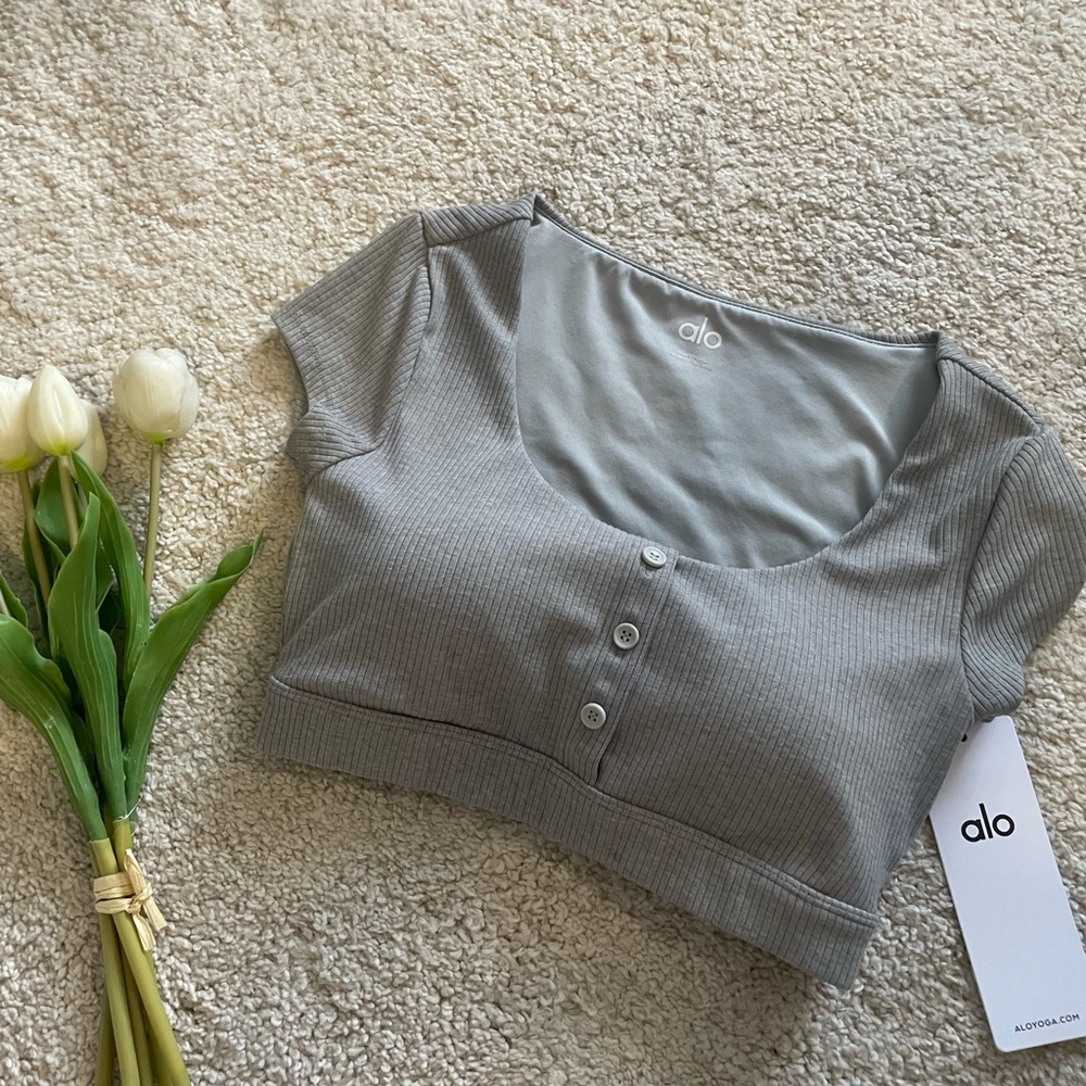 ALO Yoga Light Gray Ribbed Crop Top